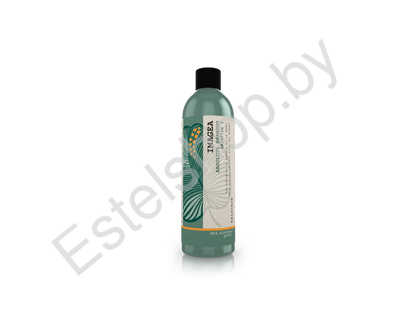 Шампунь мицеллярный для химически обработанных, окрашенных, осветленных и пористых волос ELGON IMAGEA ABSOLUTE 250 мл